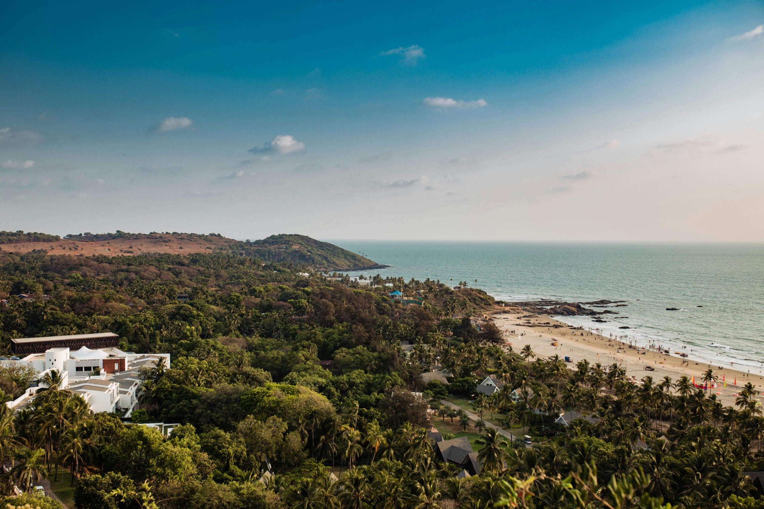Home Aerial view of lush greenery and Mandrem Beach coastline under a clear sky in Goa, India.