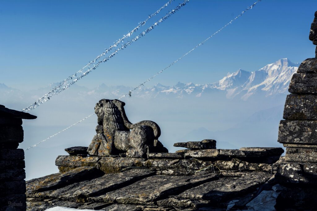 anubhav sonker ltlulvuvuxc unsplash
