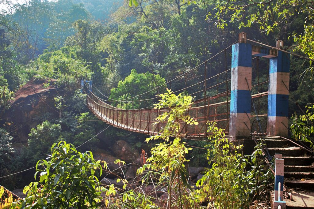 Meghalaya Tour Package kakoli biswas ea7mjbx omw unsplash